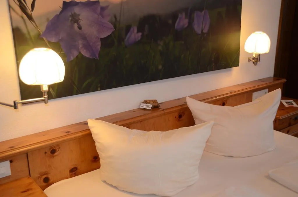 ***  Bergbauernwirt Im Landhaus Bolgental Guest House Bolsterlang Germany